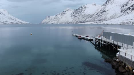 vista de avión no tripulado en el área de tromsø en invierno elevador vertical que muestra una playa de guijarros y un fiordo rodeado de montañas blancas nevadas en noruega