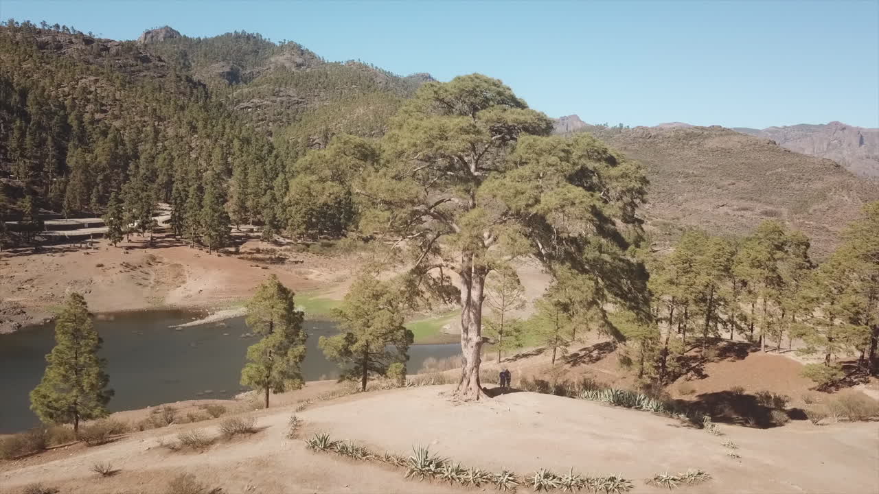 Scenic landscape with a tree, lake, and mountains