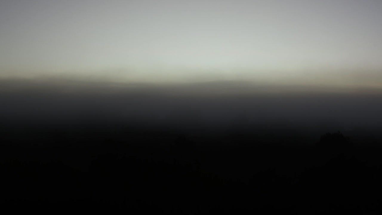 восход солнца освещает туманный лес с постепенными изменениями света