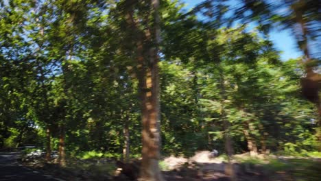 una toma de un camino con curvas que cruza una zona boscosa en una isla tropical