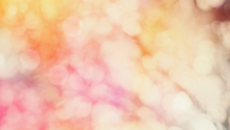 Spring color background and shining and moving bokeh
