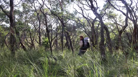 a man walks through australian bushland with a pack on while hiking