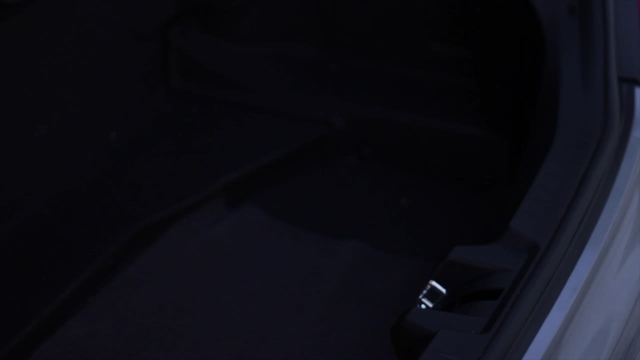 el hombre toma una maleta de cuero del equipaje del auto