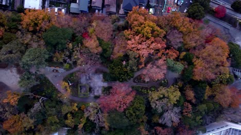 A-vibrant-park-in-autumn,-with-colorful-foliage-and-winding-paths,-aerial-view