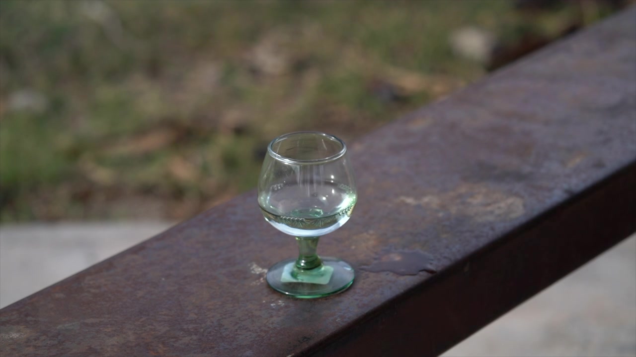 Nahaufnahme eines traditionellen Schnapsglases, gefüllt mit handwerklichem Mezcal, platziert auf einem Naturstein inmitten einer blauen Agavenplantage. Authentische mexikanische Spirituose, umgeben von Agavenpflanzen in einer rustikalen Umgebung.
