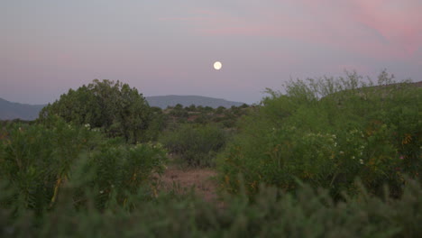 Desert-landscape-at-dawn-with-moon-shining