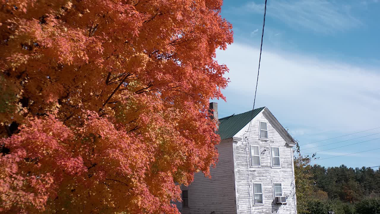 이 뉴 잉글랜드 장면에서 푸른 하늘 아래 오래된 집 옆에 다채로운 주황색 가을 나무가 서 있습니다.
