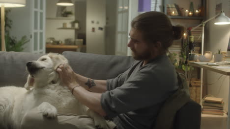 man petting golden retriever on sofa at home