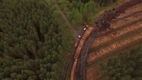 forestry and logging operations taking place in the highlands of scotland using large industrial machinery, ships and trucks