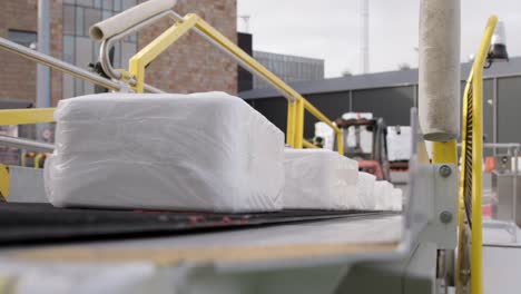 Boxes-with-frozen-fish-rolling-on-conveyor-belt-loading-into-airplane