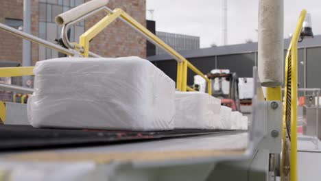 boxes with frozen fish rolling on conveyor belt loading into airplane
