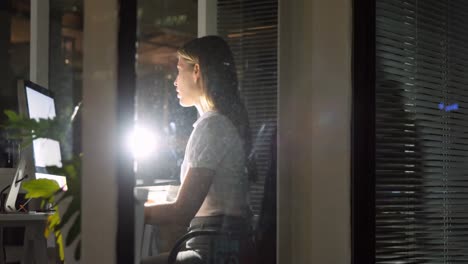 businesswoman working over computer