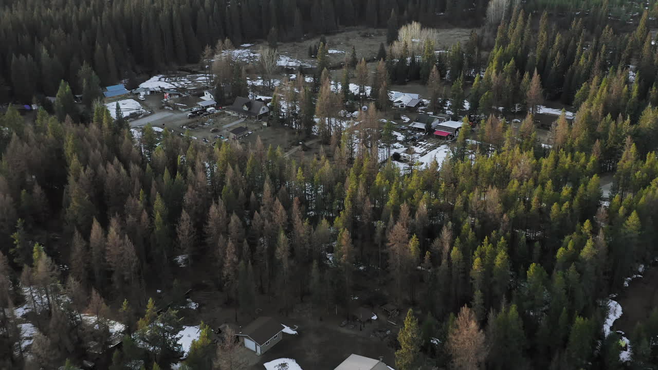 casas dispersas y chozas en el bosque con nieve en el suelo con árboles de hoja perenne