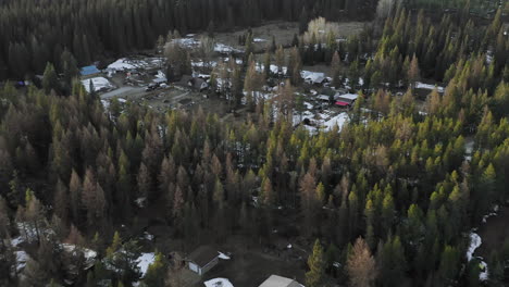 scattered houses and shacks in the woods with snow on the ground with evergreen trees