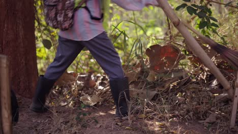 a person walking through a wooded area