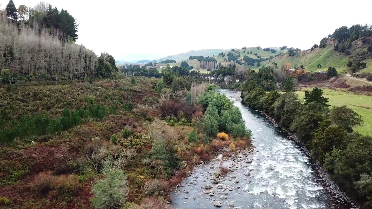 disparo de drone, camión justo sobre el río y arbustos en nueva zelanda