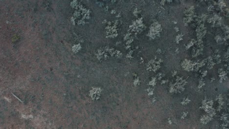 Drone-shot-of-guy-hiking-in-Utah-mountains