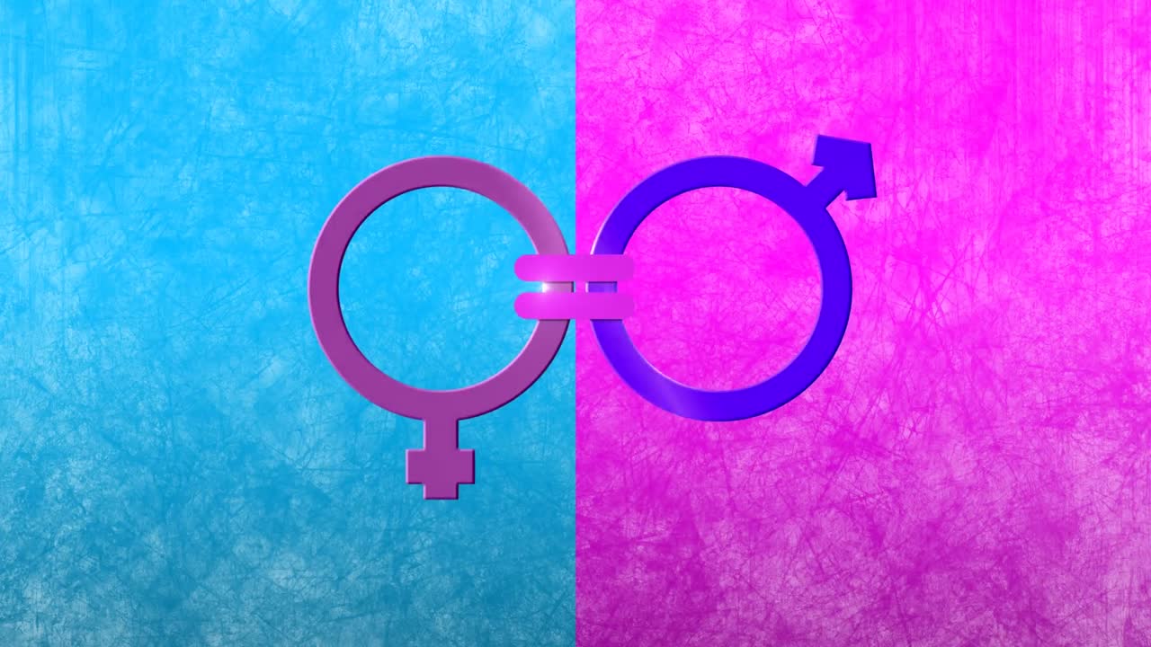 animación de símbolos de género masculino y femenino unidos por un signo de igualdad, en rosa y azul