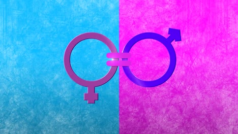 Animation-of-male-and-female-gender-symbols-joined-by-equals-sign,-on-pink-and-blue