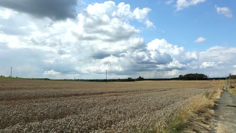 Ein-Feld-Mit-Hohem-Gras-Und-Einem-Bewölkten-Himmel