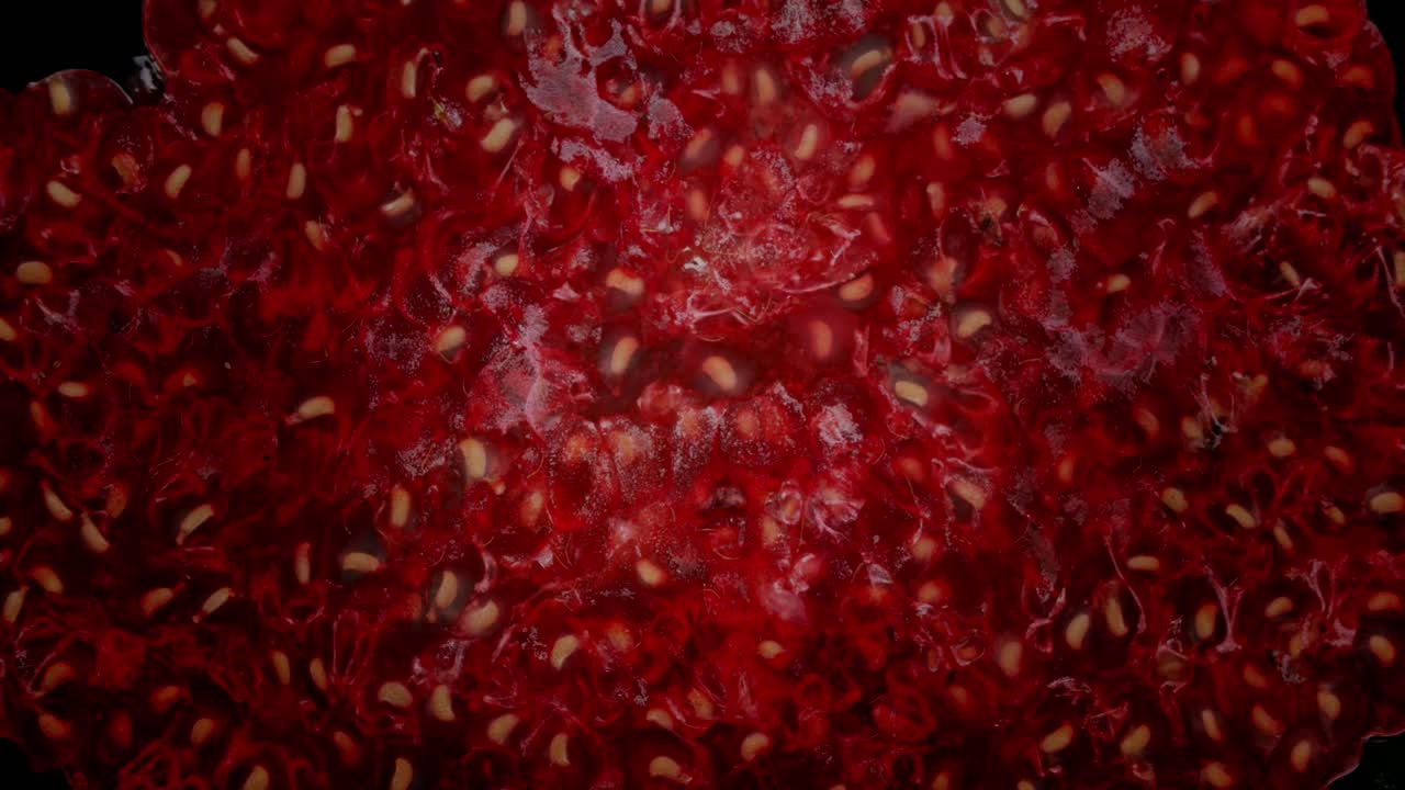 네 개의 라즈베리가 어두운 표면에 러집니다.