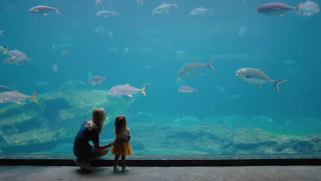 mother with daughter at aquarium looking at beautiful fish swimming in tank little girl observing marine animals with curiosity having fun learning about marine life with mom in oceanarium