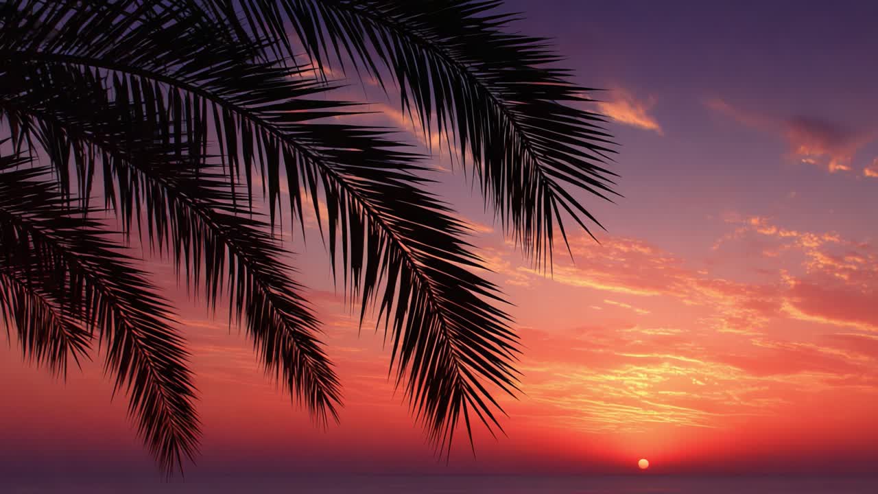 A Serene Sunset Over the Ocean, Framed by Lush Palm Leaves, Capturing the Vibrant Hues of Dusk as the Day Transitions into Tranquil Night