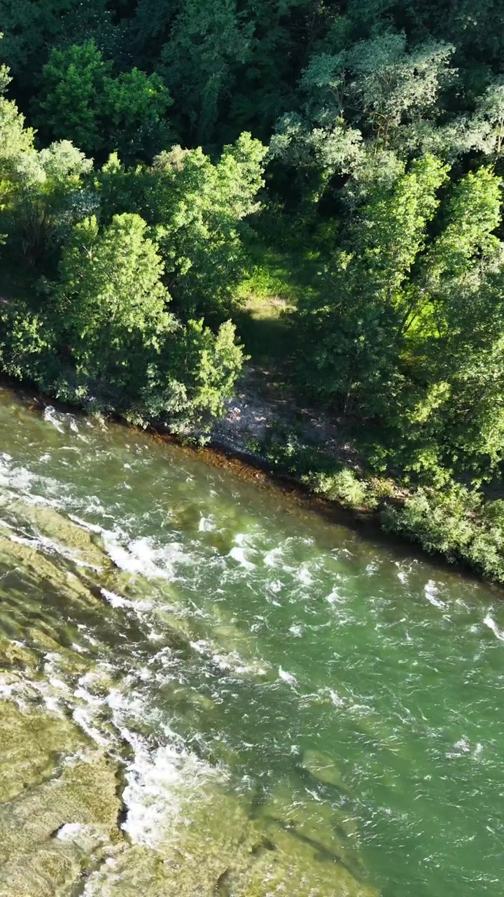 Ripresa aerea con drone dall'alto di un fiume impetuoso accanto a una fitta foresta verde in Italia.