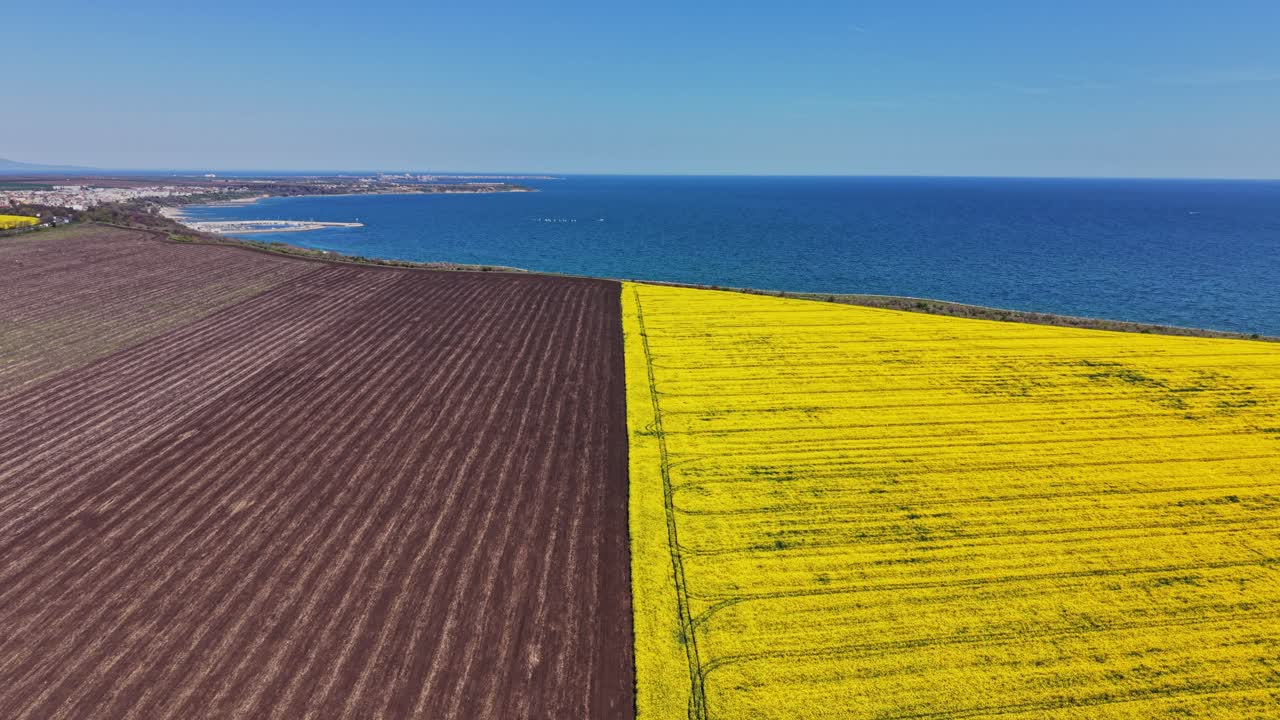 Campi vicino all'oceano con coltivazioni e terreno nero sotto il sole splendente