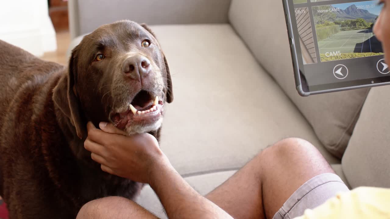 Biracial man using tablet with home security camera views on screen and petting dog, slow motion