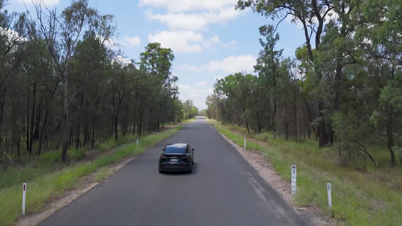 viaje en coche eléctrico a través de la carretera panorámica del bosque