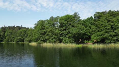 low drone flight over lake water, view of wooded shoreline