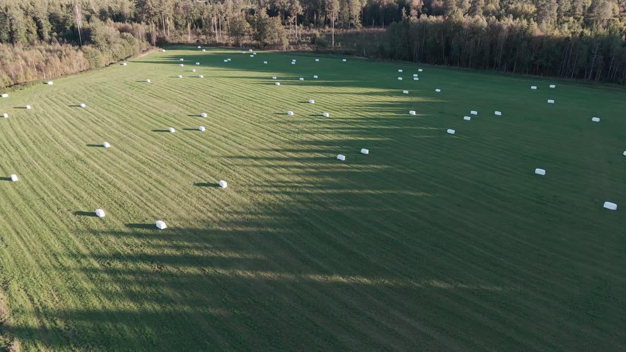 Aerial view of a green field with hay bales scattered across the landscape, surrounded by forest
