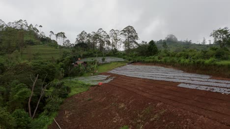 Gemüsefarm-Am-Hang-Des-Hügels-Im-Tropischen-Kintamani,-Bali,-Luft