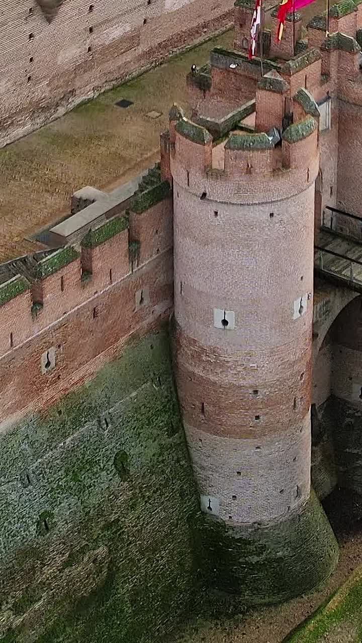 Vista aerea del percorso pedonale del parco e degli alberi