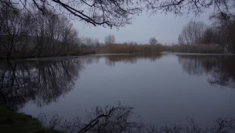 Twilight-on-the-quiet-mysterious-lake,-water-reflects-tree-branches,-romantic-evening