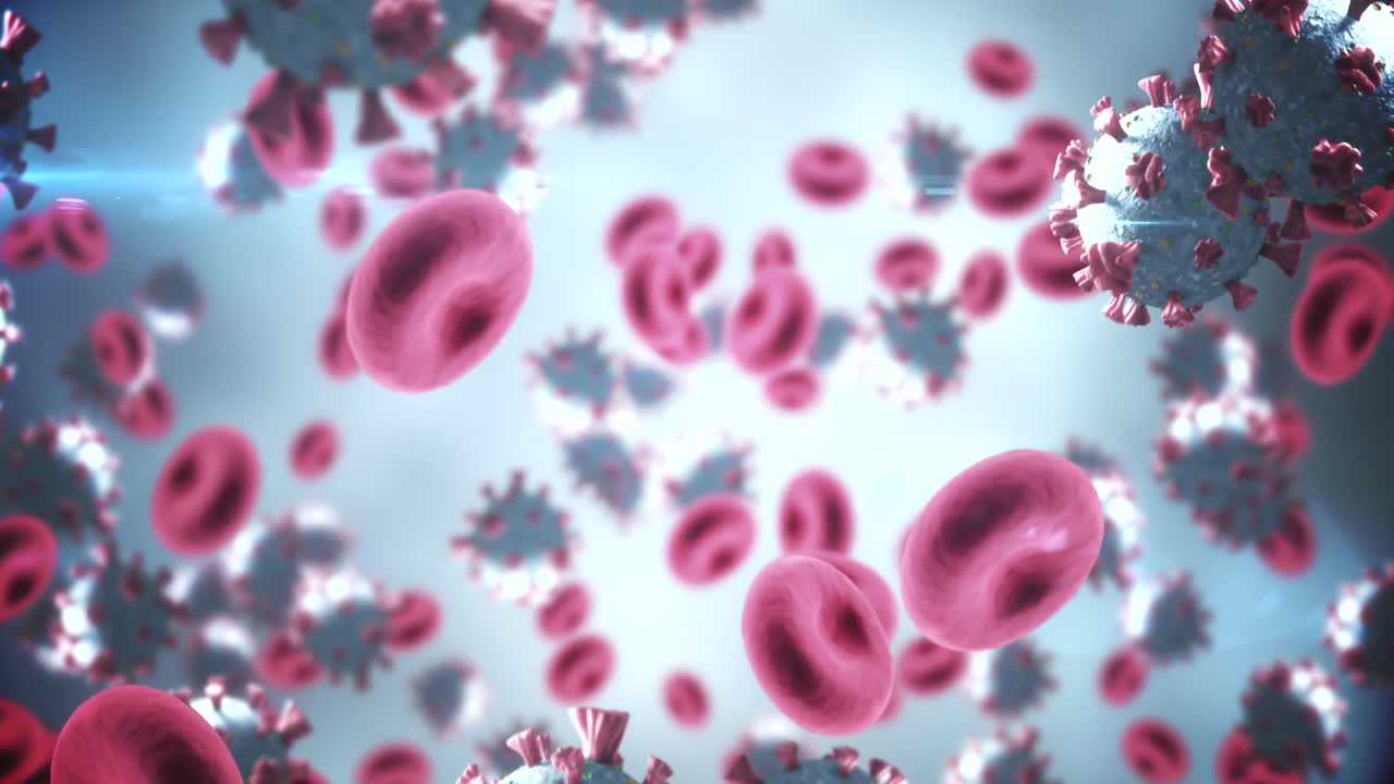 Animazione di macro cellule di Coronavirus Covid-19 che fluttuano in una vena. 4k
