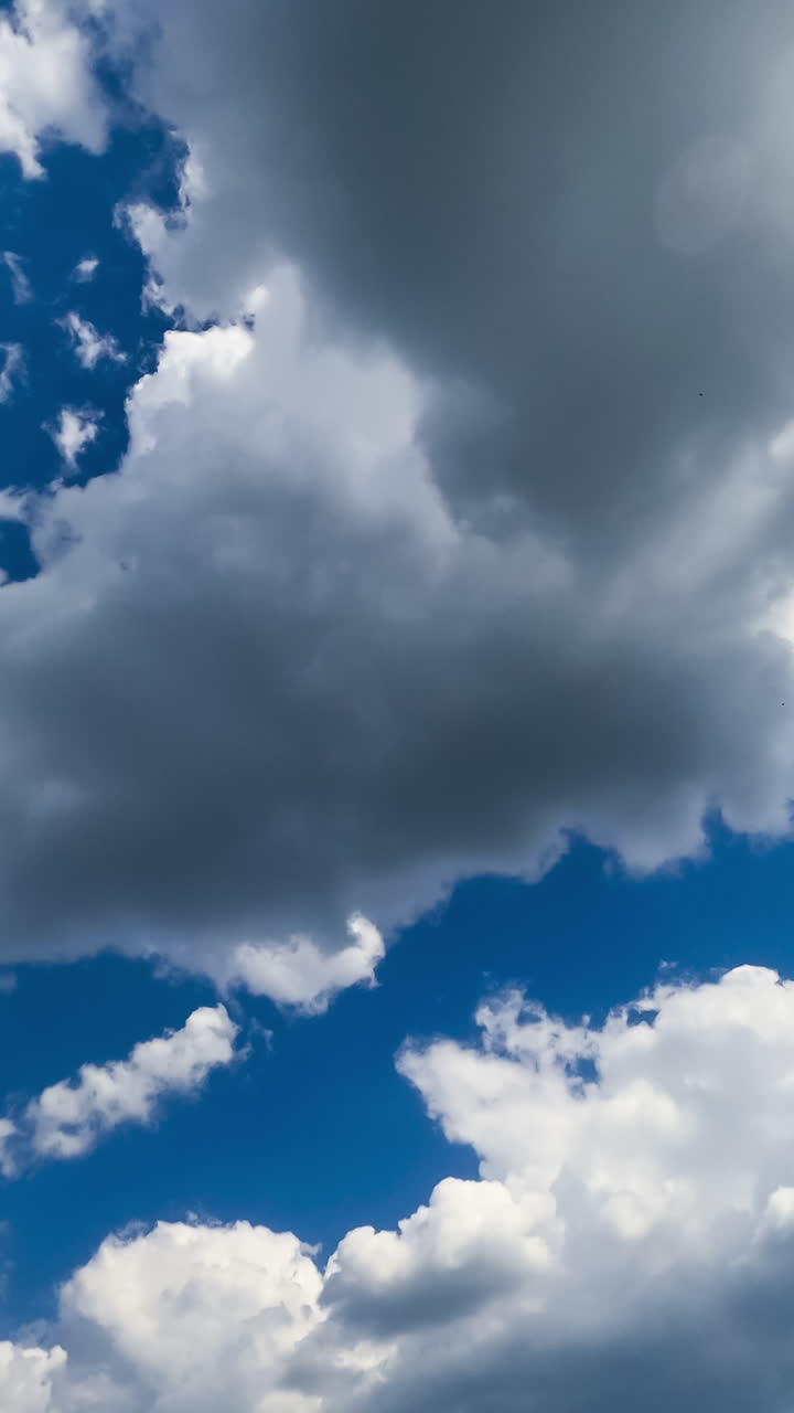 White fluffy cloudscape building in the sky. Clouds gathering in the summer skyline timelapse. Low angle perspective. Vertical video