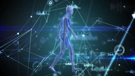 animación de la red de conexiones y procesamiento de datos sobre el modelo del cuerpo humano