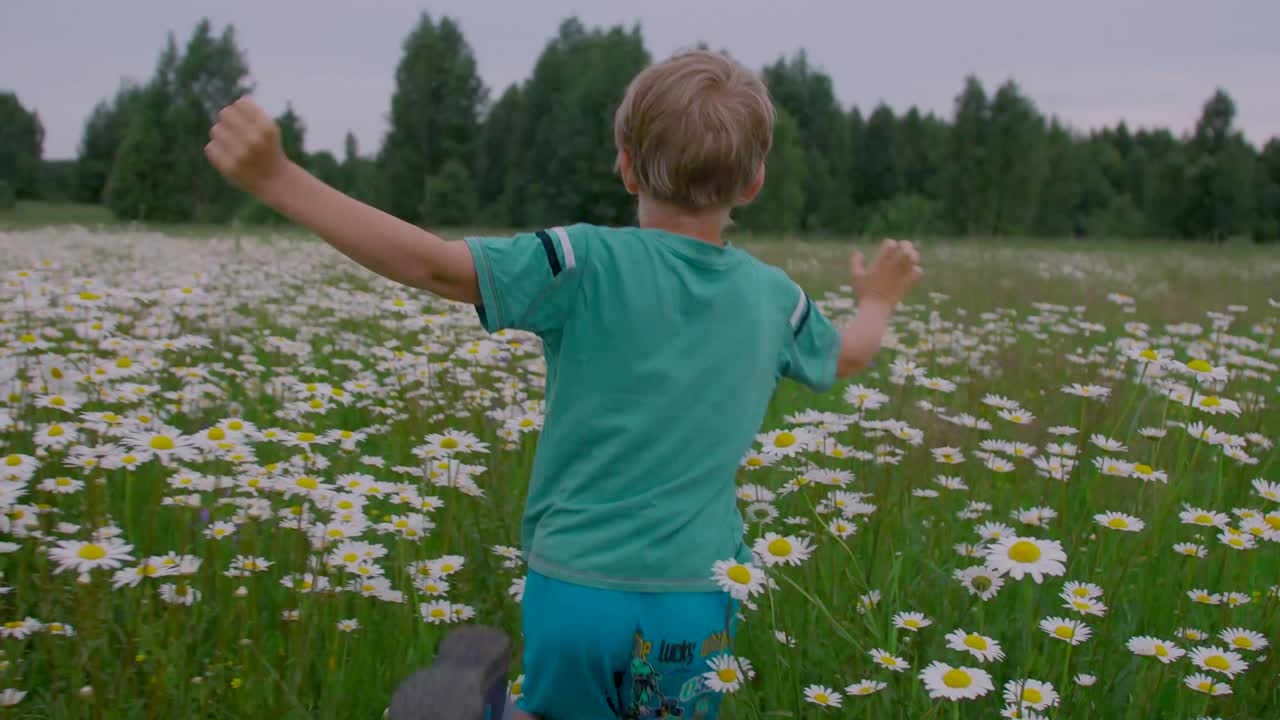 카모마일 들판 에서 달리는 소년