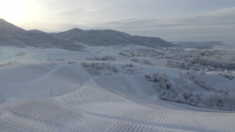 Vineyards-Covered-With-Thick-Snow-During-Winter-Season-In-Zell-Weierbach-In-Offenburg,-Germany