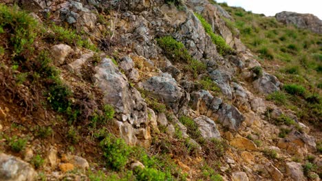 Rocas-De-Montaña-Cubiertas-De-Musgo---Primer-Plano