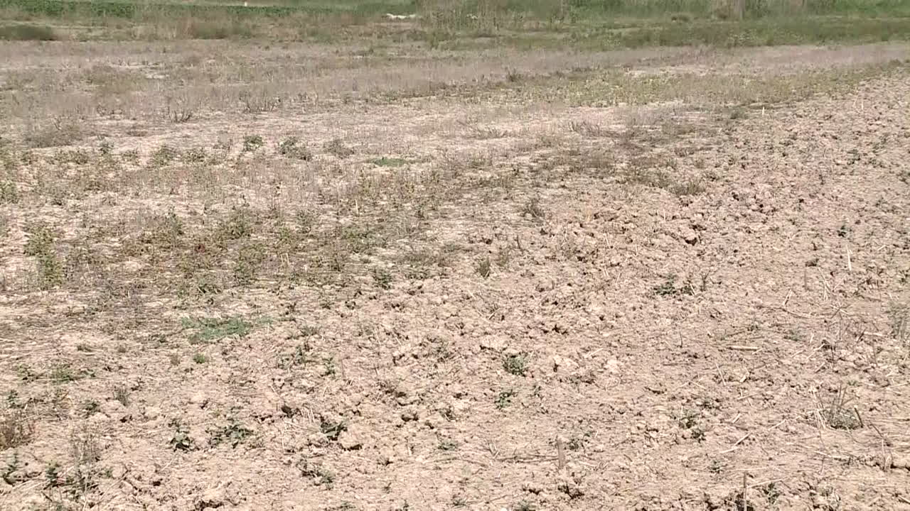 Dry, cracked agricultural land