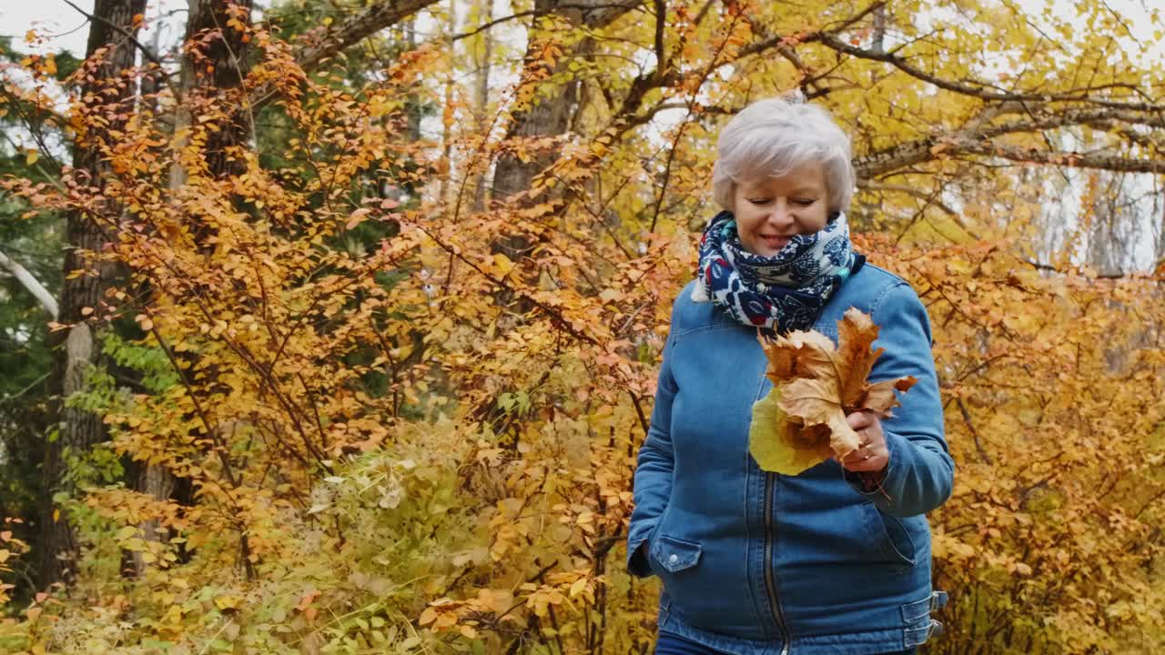 Woman in Autumn Park with Colorful Leaves