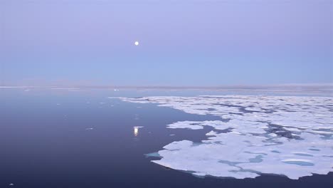 drifting past sea ice looking for polar bears in hecla and griper trough off baffin island nunavut canada 1