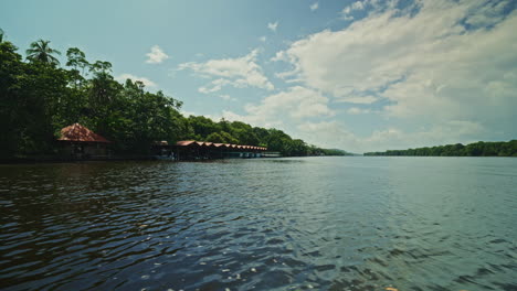 navigating through the canals of tortuguero national park in costa rica. panoramic view of the green lush vegetation and the rainforest. natural reserve for wildlife and biodiversity.