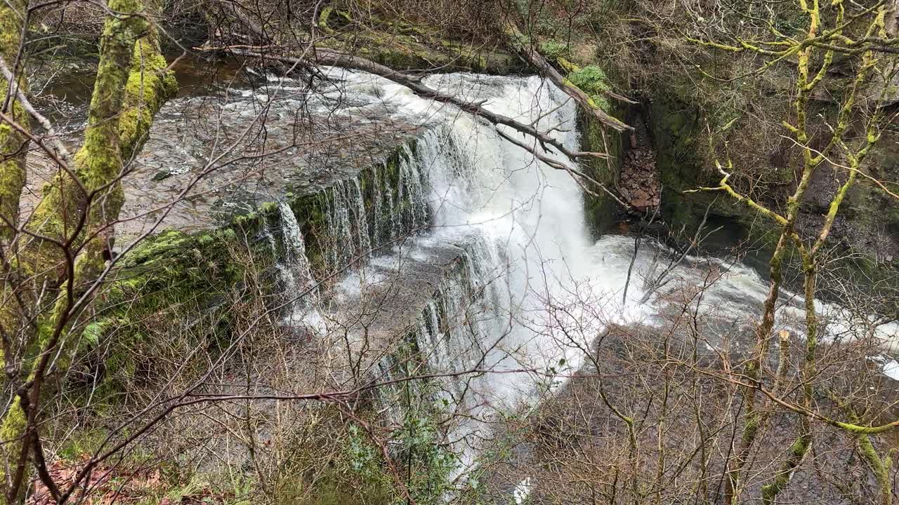 A beautiful slow reveal shot of the Sgwd Yr Eira Waterfall, Wales, showcasing the waterfall's majestic flow surrounded by lush greenery and trees, capturing the serene beauty of nature in Wales