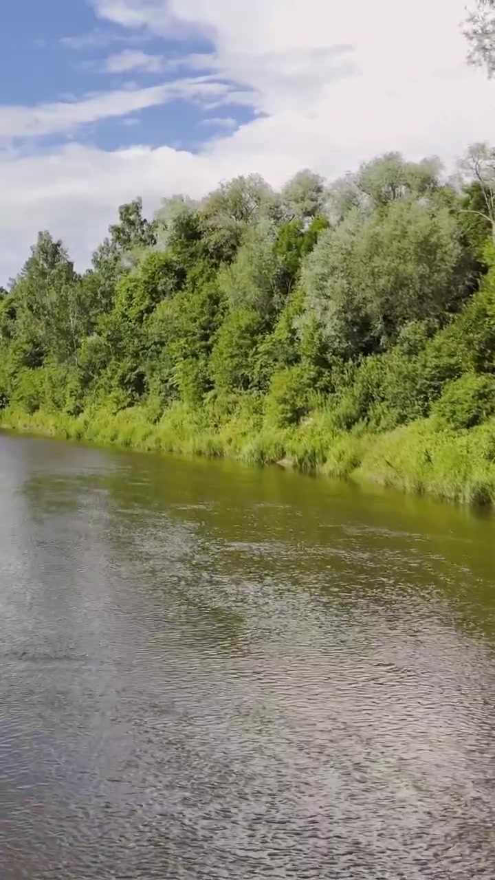 Fiume Gauja che scorre accanto a una fitta foresta verde vicino a Sigulda in una luminosa giornata estiva, ripresa aerea in ascesa