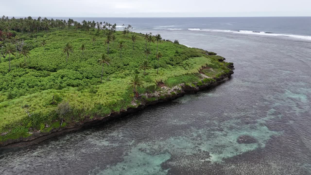 Breathtaking aerial drone view of a lush green coastline in Tonga. Pristine tropical vegetation meets the deep blue Pacific Ocean in this remote and serene island paradise