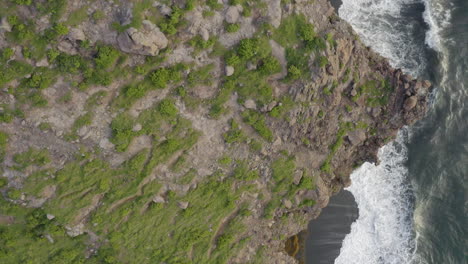 abandoned caribbean beach in the early morning. plan view, smooth pan south along the beach covered in seaweed and its surrounding cliffs. part 1 of 2.
4k uhd at 23.98 fps.